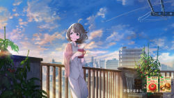 Rule 34 | 1girl, absurdres, against railing, ahoge, black eyes, black hair, blue sky, blush, brown hair, city, closed mouth, clothes hanger, cloud, contrail, cup, day, garden, grey eyes, highres, against railing, lens flare, light smile, looking away, mug, mushroom, original, outdoors, pajamas, railing, scenery, shawl, short hair, skirt, sky, smile, solo, standing, steam, sunrise, swept bangs, tomato, tomato plant, translation request, you shimizu