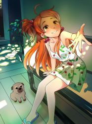 Rule 34 | 1girl, absurdres, ahoge, bench, brown eyes, cherry earrings, cherry print, dappled sunlight, dog, dress, earrings, food print, food-themed earrings, hair bobbles, hair ornament, highres, idolmaster, idolmaster million live!, idolmaster million live! theater days, jewelry, long hair, looking at viewer, moomari, ogami tamaki, outdoors, outstretched hand, plant, potted plant, sandals, side ponytail, sitting, smile, solo, sunlight, white dress