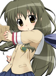 Rule 34 | 00s, 1girl, aikei, blush, clannad, ibuki fuuko, long hair, looking at viewer, low-tied long hair, simple background, solo, white background