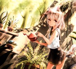 Rule 34 | 1girl, absurdres, animal ears, black skirt, brown eyes, collarbone, forest, fox ears, fox tail, highres, holding, huge filesize, nature, original, outdoors, plant, pleated skirt, potted plant, shirt, short hair, silver hair, skirt, solo, tail, tree, vente3141, watering can, white shirt