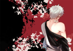 Rule 34 | 1boy, bare shoulders, from behind, gintama, japanese clothes, male focus, masa ashe, sakata gintoki, silver hair, solo