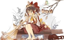 Rule 34 | 1girl, :|, animal, animal on head, animal on shoulder, annoyed, ascot, autumn, autumn leaves, barefoot, bird, bird on bird, bird on hand, bird on head, bird on shoulder, bow, broom, brown eyes, brown hair, closed mouth, detached sleeves, full body, hair bow, hakurei reimu, hand on own cheek, hand on own face, holding, holding broom, konabetate, nekomata, on bench, on head, red bow, red skirt, red vest, sitting, skirt, skirt set, solo, sparrow, sweatdrop, touhou, v-shaped eyebrows, vest, waist bow, wide sleeves, yellow ascot, yellow bow