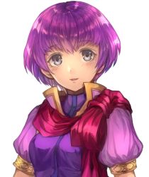 Rule 34 | 1girl, fire emblem, fire emblem: new mystery of the emblem, grey eyes, highres, jurge, katarina (fire emblem), nintendo, parted lips, purple hair, red scarf, scarf, short hair, short sleeves, simple background, solo, upper body, white background