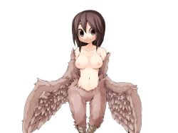 Rule 34 | 1girl, bird legs, blush, bmp-to-png conversion, breasts, brown eyes, brown feathers, brown hair, brown wings, feathered wings, feathers, frfr, harpy, harpy twins (mon-musu quest!), long hair, looking at viewer, medium breasts, mon-musu quest!, monster girl, navel, nipples, non-web source, nude, pina (mon-musu quest!), solo, transparent background, winged arms, wings