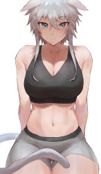 Rule 34 | 1girl, absurdres, animal ears, arms behind back, blue eyes, breasts, cat tail, closed mouth, collarbone, commentary, grey hair, grey shorts, hair between eyes, highres, large breasts, looking at viewer, midriff, navel, original, rororo, short hair with long locks, short shorts, shorts, simple background, sitting, solo, sports bra, stomach, symbol-only commentary, tail, tsurime, white background
