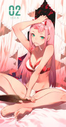 Rule 34 | 10s, 1girl, arm up, armpits, bare legs, bare shoulders, barefoot, bed sheet, bra, breasts, character name, cleavage, collarbone, crossed ankles, curtains, darling in the franxx, english text, eyeshadow, fang, fang out, feet, forehead, hair in own mouth, hand on own head, holding, horns, indian style, lace, lace-trimmed bra, lace trim, lingerie, long hair, looking at viewer, makeup, medium breasts, mouth hold, paddle, panties, pink hair, red bra, salmon88, sitting, solo, straight hair, toes, triangle, tsurime, underwear, underwear only, very long hair, white panties, zero two (darling in the franxx)