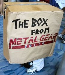 Rule 34 | box, cardboard box, cosplay, lowres, metal gear (series), metal gear solid, parody, photo (medium)