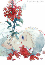 Rule 34 | 1boy, blood, blood on clothes, blouse, blue eyes, bug, butterfly, collared shirt, copyright name, cuts, ekita kuro, flower, highres, injury, insect, light smile, long sleeves, looking at viewer, lying, male focus, neck tattoo, norman (yakusoku no neverland), number tattoo, on side, one eye covered, overgrown, parted lips, portrait, red flower, shirt, smile, solo, tattoo, white background, white hair, white shirt, yakusoku no neverland