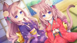 Rule 34 | 2girls, animal ears, blue eyes, blush, brown hair, cat ears, cat girl, cat tail, commentary request, floral print, flower, flying sweatdrops, hair flower, hair ornament, hand up, indoors, japanese clothes, kimono, long hair, long sleeves, looking at viewer, multiple girls, obi, open mouth, original, parted lips, print kimono, purple kimono, red kimono, rose, ryuuka sane, sash, sleeves past wrists, tail, very long hair, wavy mouth, white flower, white rose, wide sleeves