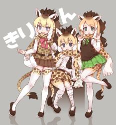 Rule 34 | 10s, 3girls, :d, :o, animal ears, animal print, belt, blonde hair, blue eyes, boots, brown skirt, cape giraffe (kemono friends), claw pose, commentary request, drill hair, giraffe ears, giraffe horns, giraffe print, giraffe tail, green eyes, green ribbon, green skirt, grey background, horns, kemono friends, knee boots, kolshica, long hair, looking at viewer, multicolored hair, multiple girls, open mouth, pantyhose, pink ribbon, ponytail, print scarf, print shirt, print skirt, reticulated giraffe (kemono friends), ribbon, rothschild&#039;s giraffe (kemono friends), scarf, shirt, shoes, simple background, skirt, smile, standing, standing on one leg, tail, thighhighs, white hair, white shirt