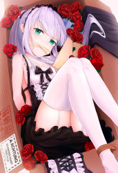 Rule 34 | 1girl, absurdres, black bow, black dress, bound, bow, box, breasts, chiya 1589505970, cleavage, dress, flower, garter straps, green eyes, highres, in box, in container, knees up, lying, maid, maid headdress, on back, original, red flower, rose, small breasts, solo, thighhighs, thighs, white hair, white thighhighs