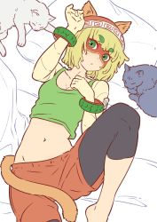 Rule 34 | 1girl, animal ears, arms (game), beanie, bed, blonde hair, blush, cat, cat day, cat ears, cat girl, cat tail, domino mask, eyebrows visible through mask, food, hat, highres, looking at viewer, mask, min min (arms), navel, nintendo, noodles, orange hat, orange shorts, shirt, short hair, shorts, sjw kazuya, solo, tail
