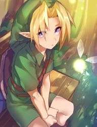 Rule 34 | 1boy, bad id, bad pixiv id, belt, bench, blonde hair, eyes visible through hair, forest, green hat, green shirt, hat, highres, link, looking at viewer, male focus, maruchi, nature, navi, nintendo, parted lips, purple eyes, shirt, short sleeves, sitting, solo, the legend of zelda