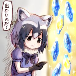 Rule 34 | 10s, 1girl, animal ears, bad id, bad pixiv id, black eyes, black gloves, black hair, blue shirt, blush, cellphone, common raccoon (kemono friends), d:, gloves, granblue fantasy, hair between eyes, holding, holding phone, japari symbol, kemono friends, looking down, multicolored hair, open mouth, parted lips, phone, puffy short sleeves, puffy sleeves, raccoon ears, sad, shirt, short hair, short sleeves, smartphone, solo, sparkle, speech bubble, sukemyon, translated