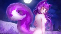 Rule 34 | 1girl, animal ears, breasts, completely nude, forest, long hair, medium breasts, moon, nature, nipples, nude, purple eyes, purple hair, rezosempai, solo, tail, wolf ears, wolf girl, wolf tail