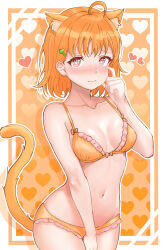 Rule 34 | 1girl, absurdres, ahoge, animal ear fluff, animal ears, bare arms, bare shoulders, between legs, blush, bow, bow bra, bra, breasts, bright pupils, cat ears, cat tail, cleavage, closed mouth, collarbone, cowboy shot, embarrassed, eyelashes, furrowed brow, hair ornament, hairclip, hand between legs, hand on own face, hand up, heart, heart background, highres, kuntze, looking at viewer, love live!, love live! sunshine!!, navel, nose blush, orange background, orange bra, orange hair, orange panties, outside border, panties, red eyes, short hair, small breasts, solo, standing, symbol-shaped pupils, tail, tail raised, takami chika, underwear, underwear only, wavy mouth, white pupils