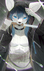 Rule 34 | 1boy, abs, absurdres, androgynous, bandages, black coat, blood, blue eyes, blue hair, briefs, choker, chromatic aberration, coat, dagger, ears through headwear, eipon tarou, fangs, furry, furry male, highres, hood, hooded coat, huge filesize, knife, looking at viewer, male focus, male underwear, mouth hold, navel, open clothes, open coat, original, rain, solo, teeth, underwear, weapon, wet