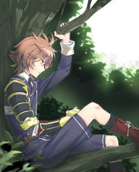 Rule 34 | 10s, 1boy, armor, boots, brown eyes, brown hair, cross-laced footwear, gotou toushirou, in tree, japanese armor, kuronomine, lace-up boots, looking down, male focus, military, military uniform, necktie, profile, shorts, shoulder armor, sitting, sode, touken ranbu, tree, uniform