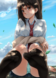 Rule 34 | 1girl, :d, against tree, black socks, blush, breast hold, breasts, brown jacket, dappled sunlight, day, falling leaves, feet, head tilt, highres, jacket, jacket off shoulders, kneehighs, large breasts, leaf, long sleeves, looking at viewer, motion blur, necktie, no shoes, off shoulder, open clothes, open jacket, open mouth, original, outdoors, panties, pantyshot, pleated skirt, red necktie, school uniform, shade, shirt, sitting, skirt, sky, smile, socks, soles, solo, striped necktie, striped neckwear, sumeragi tomo, sunlight, teeth, tree, underwear, upskirt, white shirt, wing collar