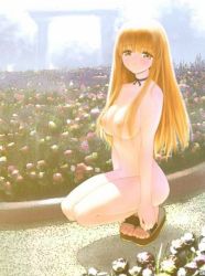 Rule 34 | 1girl, breasts, choker, day, dead or alive, ebina souichi, garden, kasumi (doa), looking at viewer, nipples, nude, orange hair, outdoors, sandals, solo, tecmo, yellow eyes, zenra
