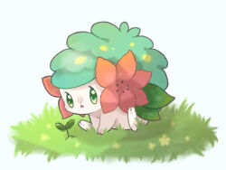 Rule 34 | alternate color, animal focus, blue background, blush, creatures (company), flower, full body, game freak, gen 4 pokemon, grass, green eyes, legendary pokemon, light blush, looking at viewer, mythical pokemon, nintendo, no humans, on ground, open mouth, outdoors, pokemon, pokemon (creature), red flower, shaymin, shaymin (land), shiny pokemon, simple background, sitting, solo, towa (clonea), yellow flower
