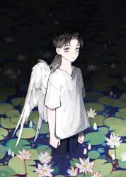 Rule 34 | 1boy, arm at side, black hair, chromatic aberration, cowboy shot, curtained hair, feathered wings, flower, from side, gradient background, highres, lily pad, lotus, mong 120, original, parted lips, partially submerged, shirt, short hair, short sleeves, solo, teardrop, water, white lotus, white shirt, white wings, wings