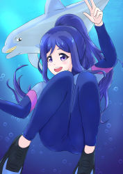 Rule 34 | 1girl, absurdres, air bubble, artist name, artist request, blue bodysuit, blue hair, blue one-piece swimsuit, blush, bodysuit, breasts, bubble, cowboy shot, disney hare, diving, diving suit, dolphin, female focus, flippers, hair between eyes, highres, knees up, long hair, long sleeves, looking at viewer, love live!, love live! school idol festival, love live! school idol festival all stars, love live! sunshine!!, matsuura kanan, medium breasts, ocean, seafloor, one-piece swimsuit, parted lips, ponytail, purple eyes, skin tight, smile, solo, swimsuit, turtleneck, underwater, v, wetsuit