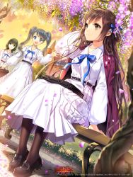 Rule 34 | 10s, 2015, 3girls, bag, belt, bench, black hair, blue eyes, briefcase, brown eyes, brown hair, cocoon (loveririn), dress, dutch angle, flower, furyou michi ~gang road~, gang road joker, hair ribbon, hand in own hair, jacket, jacket on shoulders, long hair, long sleeves, looking to the side, multiple girls, open clothes, open jacket, open mouth, original, pantyhose, petals, ribbon, school, school bag, school uniform, sitting, smile, sunset, tree, twintails, very long hair, white dress, wisteria