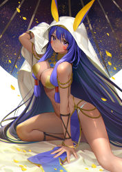 Rule 34 | 1girl, absurdres, animal ears, arm up, bangle, beads, between legs, blue hair, bracelet, breasts, chromatic aberration, cleavage, closed mouth, dark skin, dark-skinned female, ears through headwear, egyptian clothes, fate/grand order, fate (series), highres, jewelry, large breasts, long hair, looking at viewer, navel, nitocris (fate), pelvic curtain, purple eyes, revealing clothes, solo, tattoo, teffish, thighs, veil, very long hair
