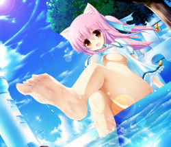 Rule 34 | 1girl, animal ears, barefoot, bell, blush, bottomless, breasts, cat ears, dutch angle, fang, feet, hair ribbon, highres, leg up, legs, lens flare, long hair, open mouth, orange eyes, original, pink hair, ribbon, shia flatpaddy, sitting, soaking feet, soles, solo, syroh, twintails, underboob, water, wet