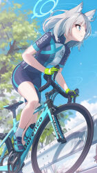 Rule 34 | 1girl, absurdres, animal ear fluff, animal ears, arukiru, bicycle, bike jersey, bike shorts, black gloves, black shorts, blue archive, blue eyes, blue sky, cat ears, day, floating hair, from below, full body, gloves, green gloves, grey hair, highres, long hair, outdoors, parted lips, riding, riding bicycle, shiroko (blue archive), shiroko (cycling) (blue archive), short shorts, short sleeves, shorts, sky, socks, solo, two-tone gloves, white socks