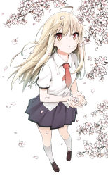 Rule 34 | 10s, 1girl, :o, ahoge, blonde hair, cherry blossoms, cupping hands, flower, highres, kneehighs, kusano houki, loafers, long hair, looking at viewer, necktie, orange eyes, own hands together, petals, pigeon-toed, pleated skirt, sakura-sou no pet na kanojo, school uniform, shiina mashiro, shoes, skirt, socks, solo, white socks