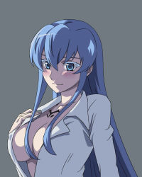 Rule 34 | 10s, 1girl, akame ga kill!, aqua eyes, aqua hair, blush, breasts, cleavage, covered erect nipples, esdeath, grey background, hand on own chest, highres, large breasts, long hair, long sleeves, no bra, pitecube, sideboob, smile, solo, upper body, very long hair