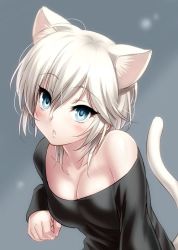 Rule 34 | 1girl, anastasia (idolmaster), animal ear fluff, animal ears, bare shoulders, black shirt, blue eyes, blush, breasts, cat ears, cat tail, cleavage, commentary request, grey background, hair ornament, head tilt, idolmaster, idolmaster cinderella girls, long sleeves, looking at viewer, off-shoulder shirt, off shoulder, parted lips, shirt, short hair, silver hair, small breasts, solo, tail, upper body, zen