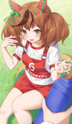 Rule 34 | 1girl, animal ears, blush, brown eyes, brown hair, hachinatsu, highres, horse ears, horse girl, multicolored hair, nice nature (umamusume), open mouth, red shorts, short hair, short sleeves, shorts, sitting, smile, solo focus, streaked hair, sweat, twintails, umamusume