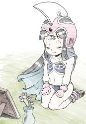 Rule 34 | 1girl, absurdres, armor, bikini armor, black hair, blue cape, boots, cape, chi-chi (dragon ball), closed eyes, closed mouth, collarbone, dragon ball, female focus, flower, full body, g reaper, highres, long hair, midriff, navel, picture frame, pink flower, pink footwear, pink headwear, seiza, shoulder armor, sitting, sketch, smile, solo, thighs, vase