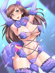 Rule 34 | 1girl, animal ears, armpits, arms up, blue eyes, blush, breasts, brown hair, cosplay, covered erect nipples, dashigarayama, dutch angle, earrings, elbow gloves, fang, fate/grand order, fate (series), fur trim, gloves, gluteal fold, jewelry, lace, lace-trimmed legwear, lace trim, large breasts, mash kyrielight, mash kyrielight (dangerous beast), mash kyrielight (dangerous beast) (cosplay), mata hari (fate), official alternate costume, open mouth, purple gloves, purple thighhighs, solo, tail, thighhighs, wolf ears, wolf tail