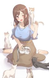 Rule 34 | ;d, animal, animal on lap, blush, breasts, brown hair, brown skirt, cat, collarbone, highres, jewelry, kitazawa (embers), large breasts, necklace, on lap, one eye closed, open mouth, original, purple eyes, seiza, simple background, sitting, skirt, smile, solo, white background