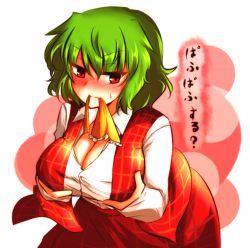 Rule 34 | 1girl, ascot, blush, breast hold, breasts, cleavage, female focus, green hair, highres, kazami yuuka, large breasts, leaning forward, mouth hold, plaid, plaid skirt, plaid vest, red eyes, roki (hirokix), short hair, skirt, skirt set, solo, touhou, translated, vest
