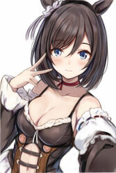 Rule 34 | 1girl, animal ears, bare shoulders, black dress, black hair, blue eyes, breasts, choker, cleavage, closed mouth, clothing cutout, collarbone, detached sleeves, dress, ear ornament, eishin flash (umamusume), hair between eyes, hand up, horse ears, light blush, long sleeves, looking at viewer, medium breasts, medium hair, nannacy7, navel, outstretched arm, red choker, selfie, simple background, sleeveless, sleeveless dress, solo, stomach cutout, swept bangs, umamusume, upper body, v, white background