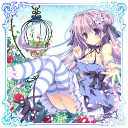 Rule 34 | 1girl, bad id, bad pixiv id, bare arms, bare shoulders, birdcage, blue dress, blue skirt, bow, breasts, cage, cleavage, collarbone, dress, flower, framed, hair flower, hair ornament, leg ribbon, long hair, looking at viewer, nail polish, nanaroba hana, original, outstretched arm, outstretched hand, panties, pantyshot, petals, purple eyes, purple hair, red flower, red rose, ribbon, rose, sitting, skirt, smile, solo, strapless, strapless dress, striped clothes, striped thighhighs, thighhighs, underwear, very long hair, white panties, wrist cuffs, zettai ryouiki