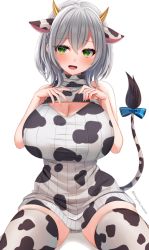 Rule 34 | 1girl, animal ears, animal print, blush, bow, breasts, cleavage, cow ears, cow horns, cow print, cow tail, green eyes, grey hair, hands up, hololive, horns, huge breasts, looking at viewer, marota, no pants, open mouth, raised eyebrows, shirogane noel, sitting, sleeveless, sleeveless sweater, solo, sweater, tail, tail bow, tail ornament, thighhighs, virtual youtuber