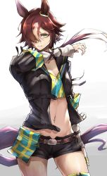 Rule 34 | 1girl, absurdres, animal ears, arm up, black jacket, black shorts, breasts, brown eyes, brown hair, cleavage, collarbone, commentary, cowboy shot, crop top, ear ornament, floating hair, groin, hair between eyes, hair over one eye, highres, horse ears, horse girl, horse tail, jacket, long hair, long sleeves, looking at viewer, low ponytail, luna (gkluna mas), midriff, multicolored hair, navel, open clothes, open jacket, parted lips, shirt, short shorts, shorts, sidelocks, simple background, solo, standing, striped clothes, striped shirt, tail, two-tone hair, umamusume, vodka (umamusume), white background, white hair, yellow shirt