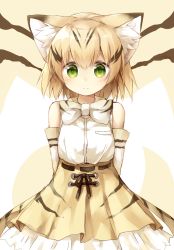 Rule 34 | 10s, 1girl, animal ears, arms behind back, bare shoulders, blonde hair, blush, bow, bowtie, cat ears, cat tail, cowboy shot, elbow gloves, expressionless, gloves, green eyes, hair between eyes, highres, kemono friends, looking at viewer, multicolored hair, pocket, ribbon, ribbon-trimmed clothes, ribbon-trimmed skirt, ribbon trim, sand cat (kemono friends), satou saya, shirt, short hair, skirt, sleeveless, sleeveless shirt, solo, streaked hair, striped tail, tail, tareme, white shirt