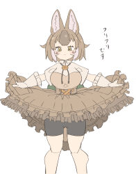 Rule 34 | 1girl, animal ears, bike shorts under skirt, blush, breasts, brown hair, clothes lift, dhole (kemono friends), dog ears, dog girl, dog tail, extra ears, gloves, highres, kemono friends, kemono friends 3, large breasts, looking at viewer, multicolored hair, official alternate costume, shirt, short hair, skirt, skirt lift, smile, tail, tosake6, two-tone hair, white hair