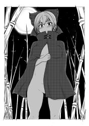 Rule 34 | 1girl, bamboo, bamboo forest, blush, bow, cape, cowboy shot, forest, full moon, greyscale, hair bow, highres, himajin noizu, looking at viewer, monochrome, moon, naked cape, nature, night, night sky, no mouth, outdoors, public indecency, public nudity, sekibanki, short hair, sky, solo, star (sky), starry sky, touhou