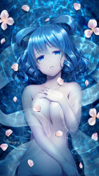 Rule 34 | 1girl, artist name, bad id, bad pixiv id, blue eyes, blue hair, breasts, cleavage, collarbone, commentary request, cowboy shot, drill hair, drill sidelocks, flower, from above, groin, hair between eyes, hair rings, hand on own chest, head tilt, kaku seiga, looking at viewer, lying, medium breasts, nnyara, nude, on back, out-of-frame censoring, parted lips, partially submerged, petals, ripples, shawl, short hair, sidelocks, solo, stomach, touhou, twitter username, water, white flower