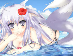 Rule 34 | 1girl, absurdres, animal ears, bikini, breasts, cleavage, finger to mouth, flower, fox ears, fox tail, hair flower, hair ornament, hibiscus, highres, long hair, looking at viewer, lying, medium breasts, multiple tails, on stomach, original, piano (1991 0422), purple eyes, purple hair, solo, strap slip, swimsuit, tail, water