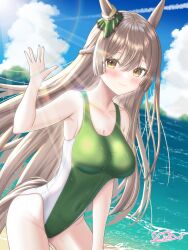 Rule 34 | 1girl, absurdres, ades clus, animal ears, beach, blue sky, braid, breasts, brown eyes, brown hair, cleavage, cloud, collarbone, competition swimsuit, cowboy shot, day, french braid, green one-piece swimsuit, highleg, highleg swimsuit, highres, horizon, horse ears, horse girl, horse tail, large breasts, long hair, ocean, one-piece swimsuit, outdoors, satono diamond (umamusume), sky, solo, swimsuit, tail, umamusume, waving