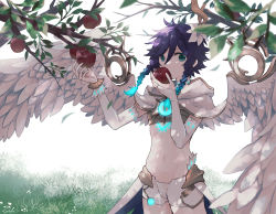 Rule 34 | 1boy, angel wings, aobane1022, apple, blue eyes, blue hair, braid, branch, commentary request, detached sleeves, eating, feathered wings, flower, food, fruit, genshin impact, gold bracelet, gold trim, grass, unworn headwear, highres, hood, hood down, leaf, lily (flower), looking at viewer, male focus, multicolored hair, navel, short shorts, shorts, stomach, trap, twin braids, two-tone hair, upper body, venti (archon) (genshin impact), venti (genshin impact), vision (genshin impact), white shorts, wings